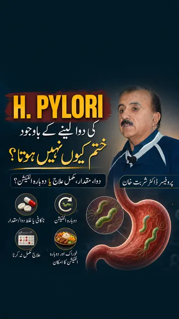 Why H. pylori keeps coming back — video by Prof. Dr. Sherbat Khan